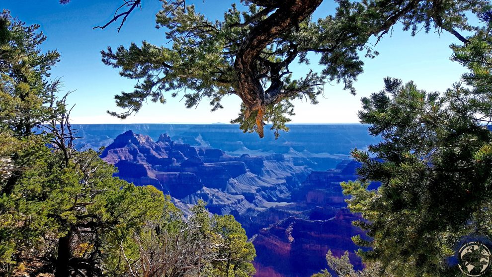Arizona - "Grand Canyon" (Coté Nord)