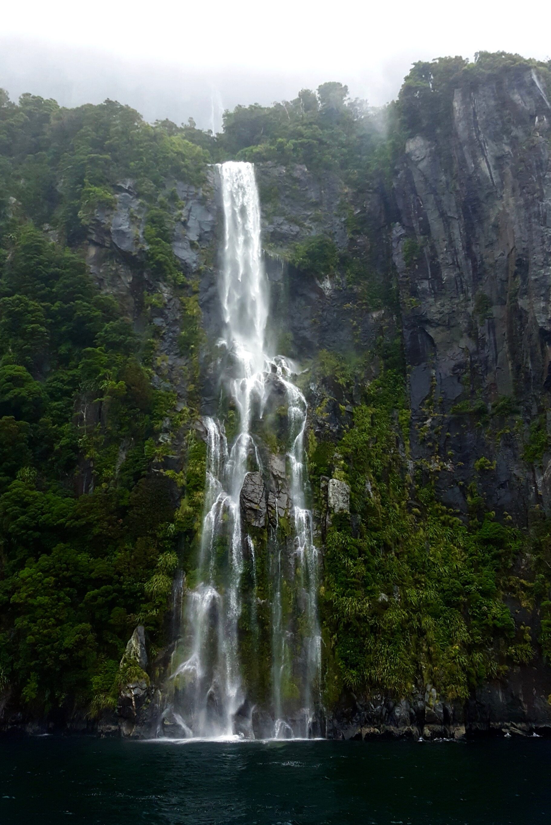 excursion milford sound avec orange